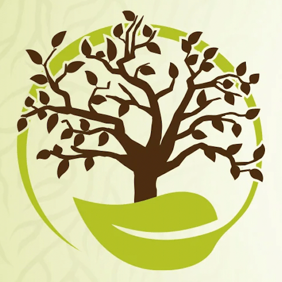 Dr. Green Life Discount