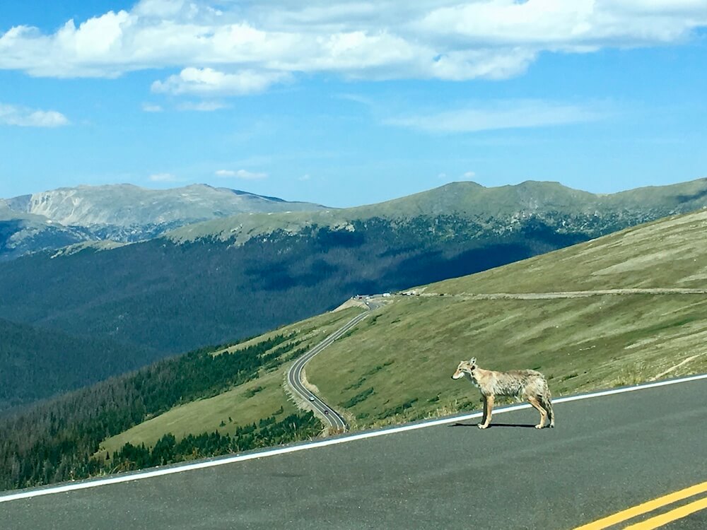 Colorado National Parks - Rocky Mountain National Park - Trail Ridge Road